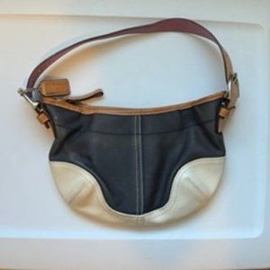 Coach clutch bag, multi color